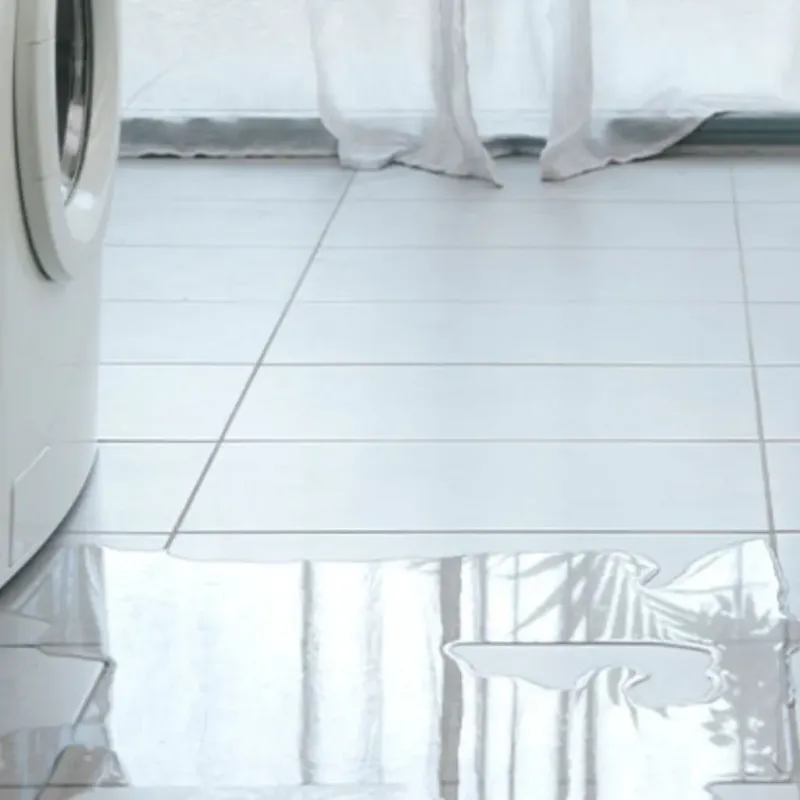 Appliance Leak Cleanup in Greenwich, OH