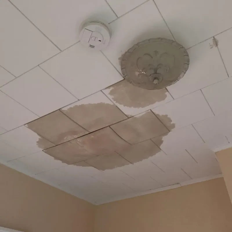 Ceiling Water Damage Repair in Greenwich, OH