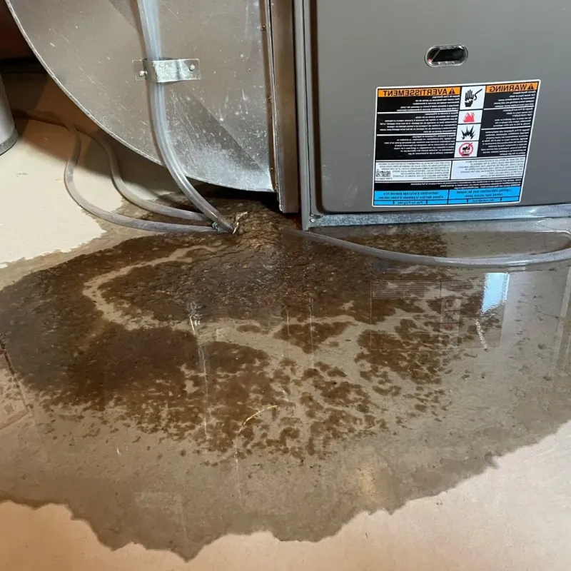 Pipe Burst and Leak Restoration in Greenwich, OH