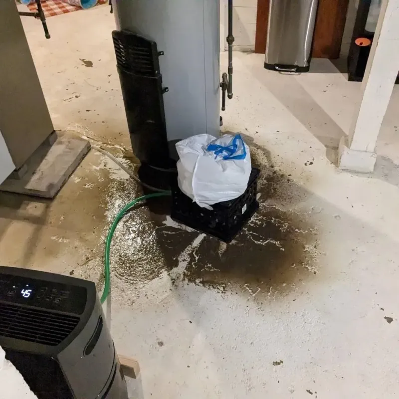 Sewage Backup Cleanup Service in Greenwich, OH
